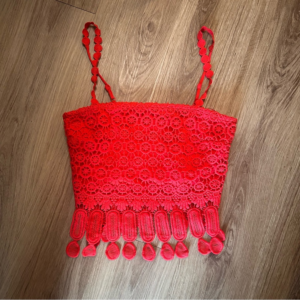 Skies Are Blue Red Embellished Crop